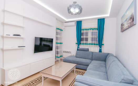 one bedroom city kvart luxury lease rent podgorica rentals