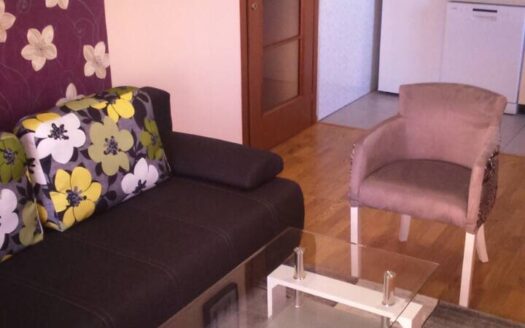 One Bedroom Apartment For Rent, Podgorica, City kvart