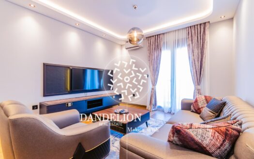 Luxury two bedroom apartment in Podgorica (1)