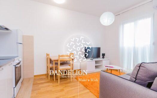 Studio Apartment For Rent, Zabjelo, Podgorica