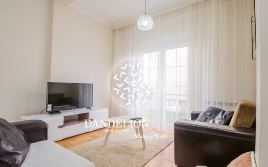 One Bedroom Apartment For Rent, Zagorič, Podgorica