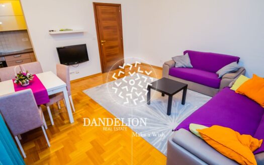 Two Bedroom Apartment For Rent, Stari Aerodrom, Podgorica