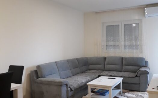 One bedroom apartment for rent, Zagorič, Podgorica