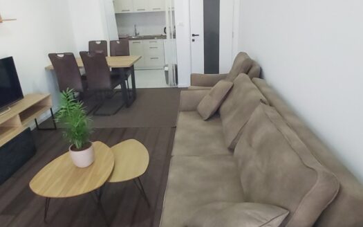 One Bedroom Apartment For Rent, Vezirov most, Podgorica