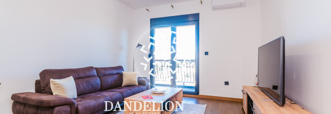 luxury one bedroom apartments in Podgorica
