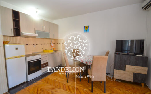 Studio apartment for rent, Malo brdo, Podgorica