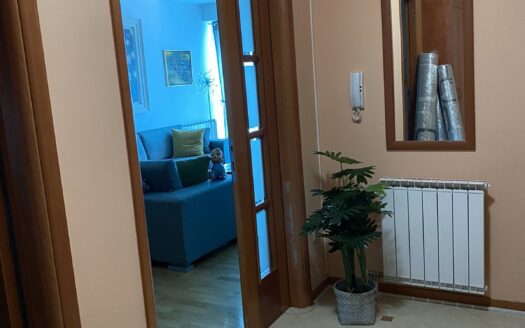 Two bedroom apartment for rent, Preko Morače, Podgorica