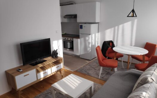 Studio apartment for rent, Dalmatinska, Podgorica