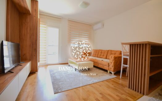 Studio apartment for rent, Stari Aerodrom, Podgorica