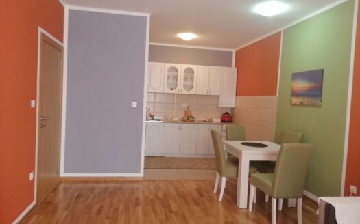 One bedroom apartment for rent, Tuški Put, Podgorica