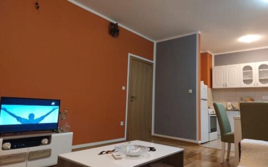 One bedroom apartment for rent, Tuški Put, Podgorica