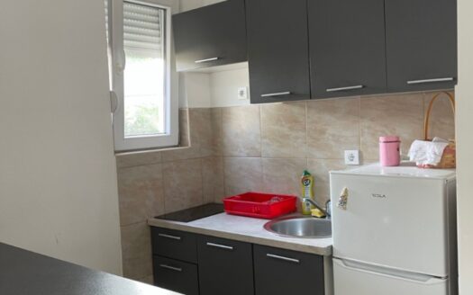 One bedroom apartment for rent, Zabjelo, Podgorica