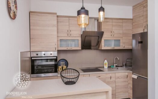 Two bedroom apartment for rent, Dalmatinska, Podgorica