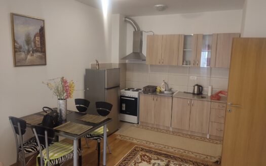 One bedroom apartment for rent, Tuški Put, Podgorica