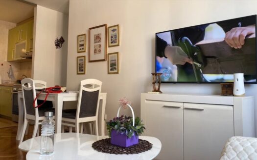 One bedroom apartment for sale, Zagorič, Podgorica