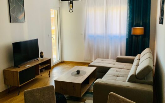 One bedroom apartment for rent, New City, KIPS, Podgorica