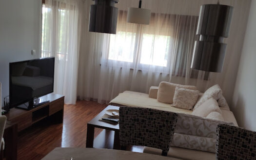 One bedroom apartment for rent, Petrovac