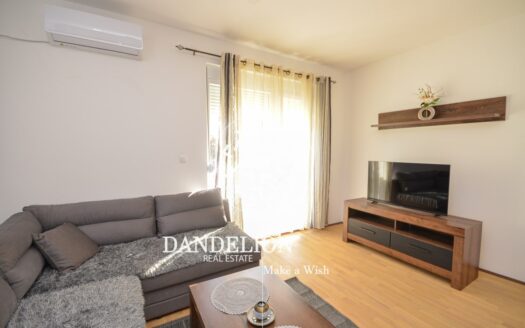 One bedroom apartment for rent, Delta, Podgorica