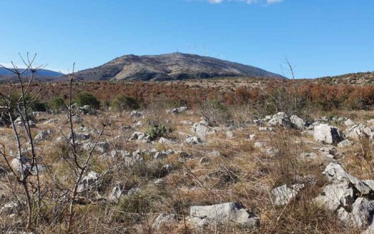 Land for sale, Zoganje, Ulcinj