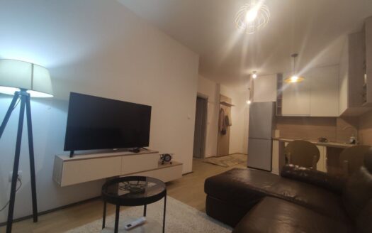 One bedroom apartment for rent, Iza Delte, Podgorica