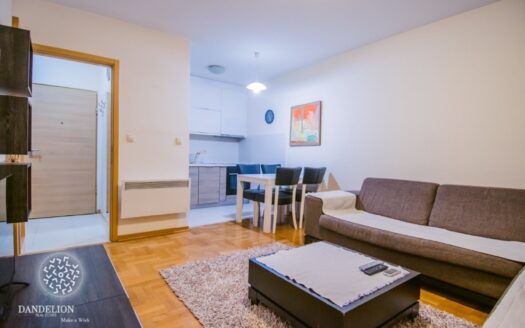 One bedroom apartment for rent, Stari Aerodrom, Podgorica