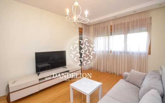 One bedroom apartment for rent, Preko Morače, Podgorica