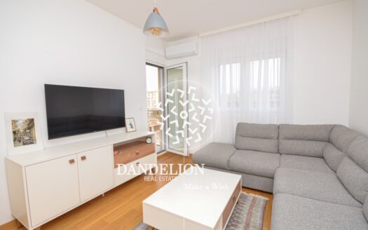 One bedroom apartment for rent, New City, Podgorica