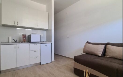 Studio apartment for rent, Zabjelo, Podgorica