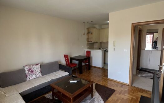 One bedroom apartment for rent, Tuški put, Podgorica