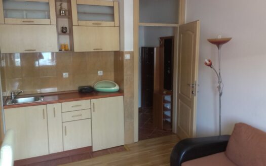 Studio apartment for rent, preko Morače, Podgorica