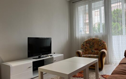 One bedroom apartment for rent, Preko Morače, Podgorica