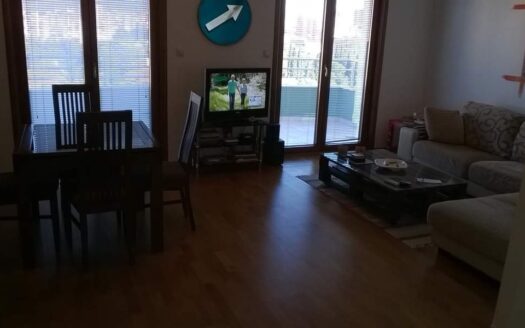 One bedroom apartment for rent, Pobrežje, Podgorica