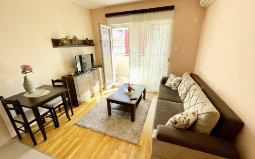 Studio apartment for rent, Ljubović, Podgorica