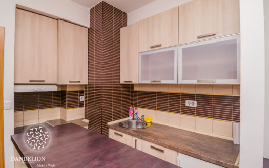 Studio apartment for rent, Preko Morače, Podgorica