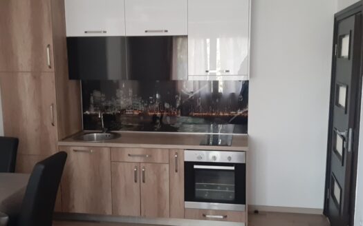 One bedroom apartment for rent, Centar, Podgorica