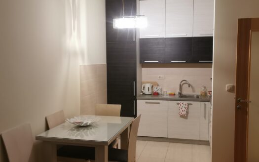 One bedroom apartment for rent, Blok 9, Podgorica