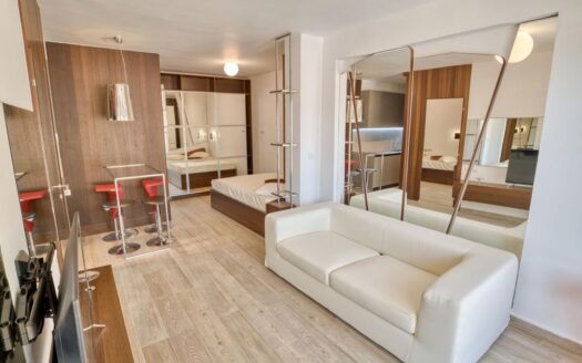 Legacy apartment for rent and sale, Budva