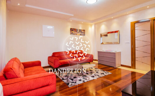 Royal Comfort for rent, Center, Podgorica