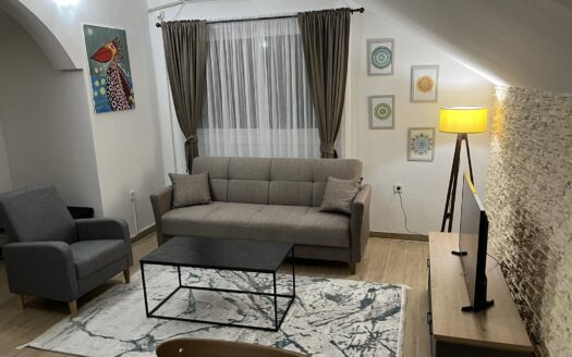 One bedroom apartment for rent, Centar, Budva