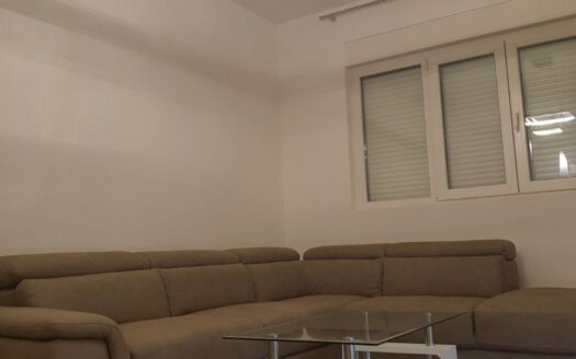 One bedroom apartment for rent, Central Point, Podgorica