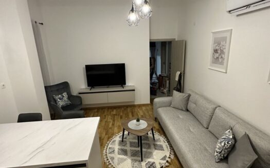 One bedroom apartment for rent, Zabjelo, Podgorica