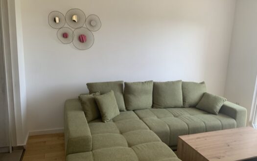 One bedroom apartment for rent, Centar, Podgorica