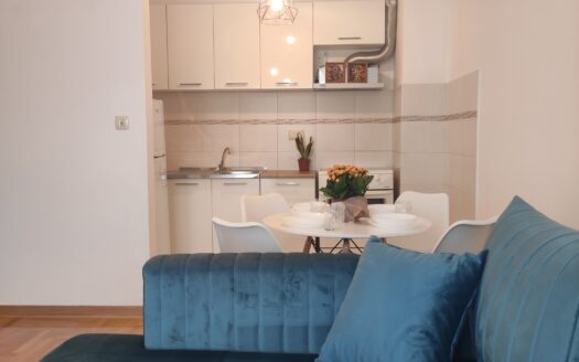 One bedroom apartment for rent, Stari Aerodrom, Podgorica