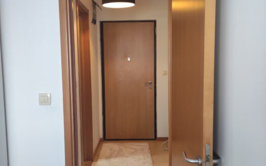 One bedroom apartment for rent, Stari Aerodrom, Podgorica