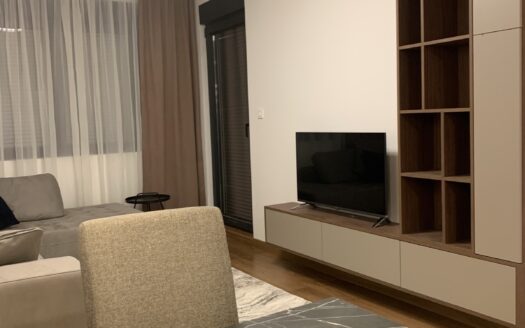 One bedroom apartment for rent, Tološi, Podgorica