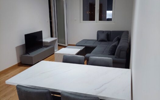 One bedroom apartment for rent and sale, New City, Podgorica