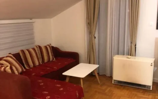 One bedroom apartment for rent, Momišići, Podgorica