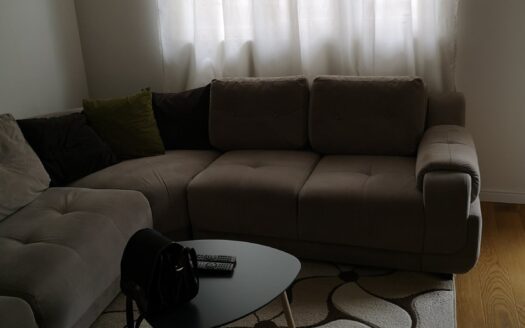 One bedroom apartment for rent, Central Point, Podgorica