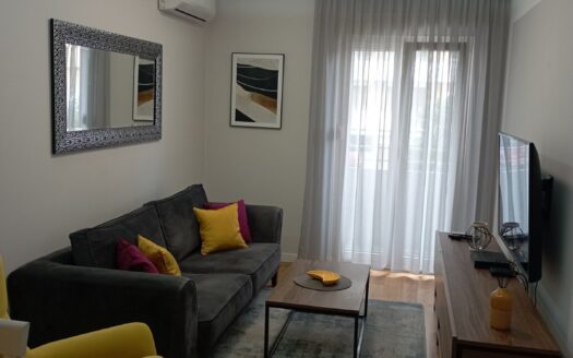 One bedroom apartment for rent, Central Point, Podgorica