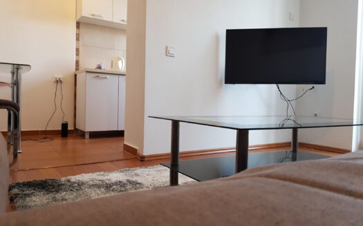 One bedroom apartment for rent and sale, Preko Morače, Podgorica